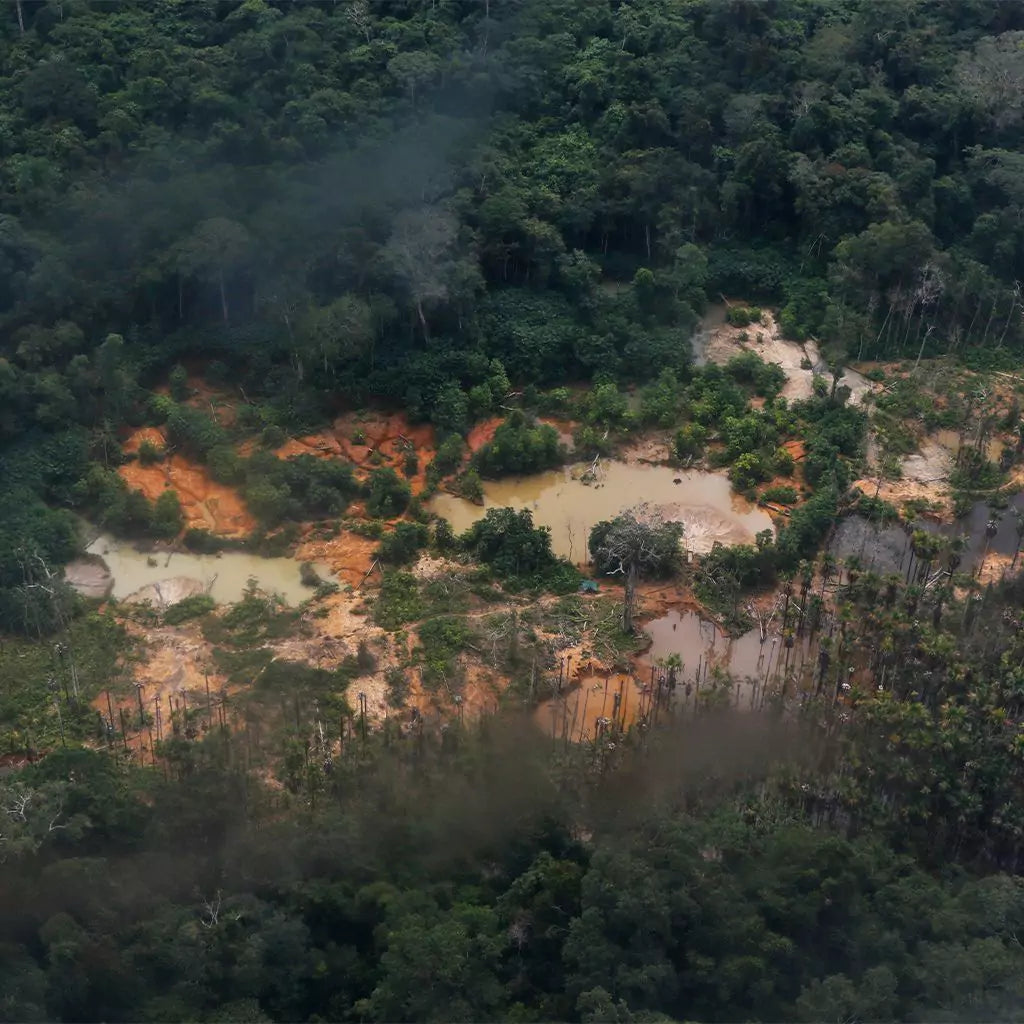 Ulovlig gullgruve i Amazonas, dammer med giftig avfall i et avskoget område